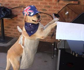 Zimmy Dog Australia Day